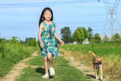亚洲小女孩带着小狗走在田间