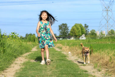 亚洲小女孩带着小狗走在田间