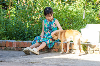 喂小狗的亚洲小女孩