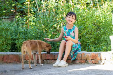 喂小狗的亚洲小女孩