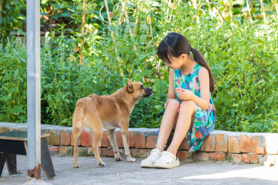 喂小狗的亚洲小女孩