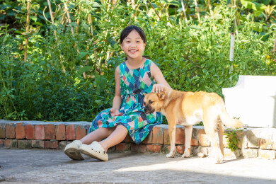 喂小狗的亚洲小女孩