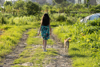 亚洲小女孩带着小狗在户外的背影