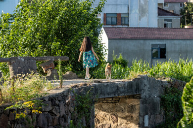 亚洲小女孩带着小狗在户外的背影