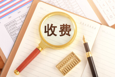 数据图表上的放大镜印着文字收费