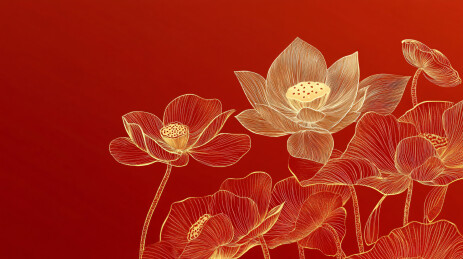 中式红色喜庆背景 金色荷花荷叶线稿