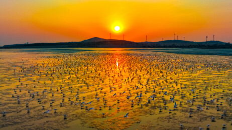 青岛即墨鳌山湾