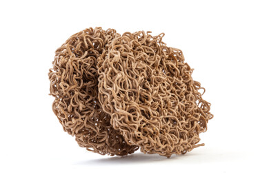 荞麦葱面非油炸干面块