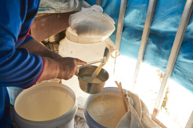 在蒙古包内用传统工艺熬煮蒙族奶茶的过程