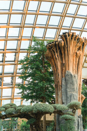 太原植物园沙生植物馆内景