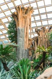 太原植物园沙生植物馆内景