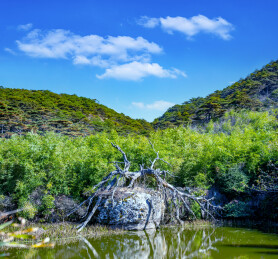 江西上饶三清山涵星池