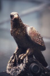 屋檐上的雄鹰铜像