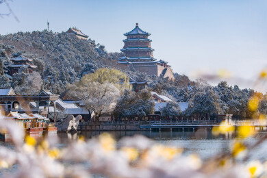 北京颐和园万寿山佛香阁冬末早春雪景迎春花