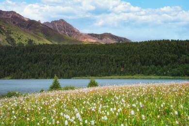 中国川西甘孜巴塘措普沟自然风光