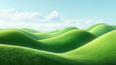 绿色的草原和阳光