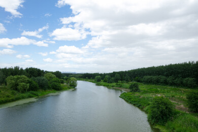 北京温榆河在夏季