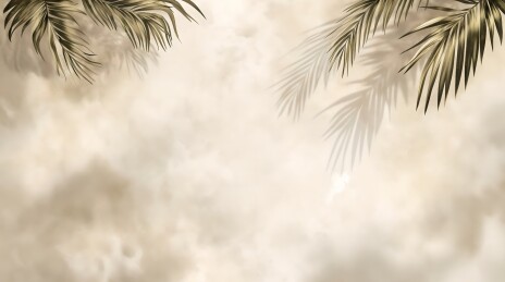 暖色调极简风格绿植棕榈叶热带风格空镜背景