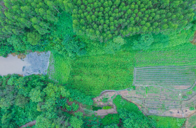 广西南宁乡村耕地农田鱼塘水塘航拍风光