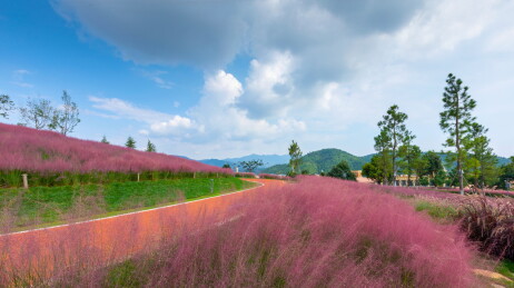 中国云南大学百草园风景