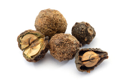 中药材之余甘子