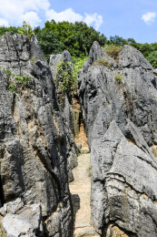 中国湖北宜昌奥陶纪石林景区风光