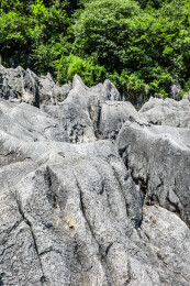 中国湖北宜昌奥陶纪石林景区风光