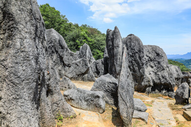 中国湖北宜昌奥陶纪石林景区风光