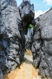 中国湖北宜昌奥陶纪石林景区风光