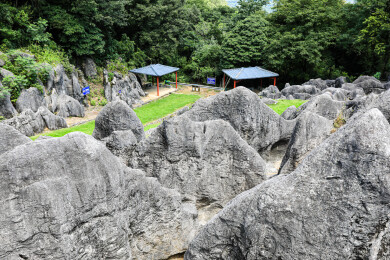 中国湖北宜昌奥陶纪石林景区风光