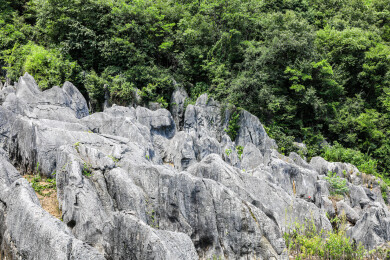 中国湖北宜昌奥陶纪石林景区风光