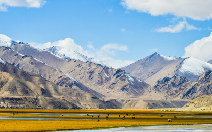 中国新疆喀什地区木吉湿地的雪山草原秋天风景