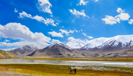 中国新疆喀什地区木吉湿地的雪山草原秋天风景