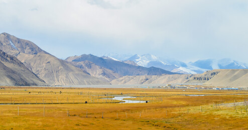 中国新疆帕米尔高原，喀什地区木吉湿地秋季风景