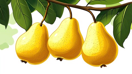 新鲜的梨子插画