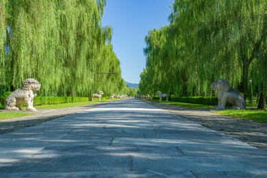 北京市5A景区明十三陵神道景区的神道