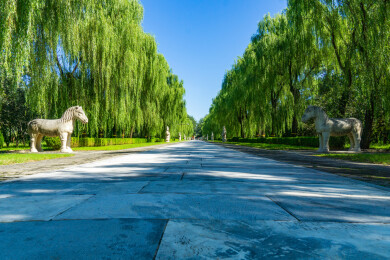 北京市5A景区明十三陵神道景区的神道
