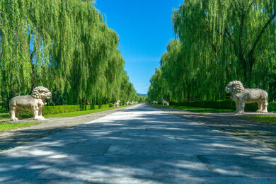 北京市5A景区明十三陵神道景区的神道