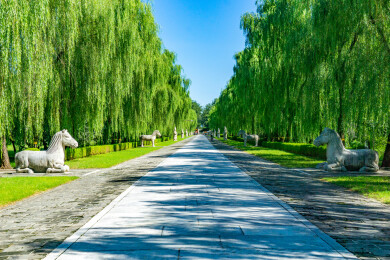 北京市5A景区明十三陵神道景区的神道