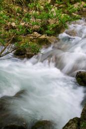 贵州荔波小七孔景区|山间溪流慢速曝光