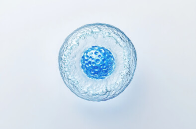 正上方白色背景下的蓝色塑料照片