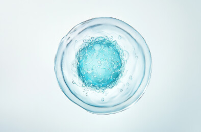 正上方白色背景下的蓝色塑料照片