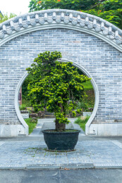 中式传统园林月洞门景观