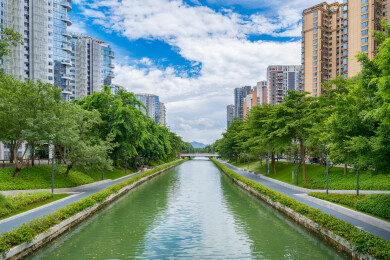 深圳大沙河生态长廊风光