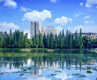 湖南衡阳西湖公园荷塘湖畔