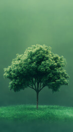 一棵树木，环保理念
