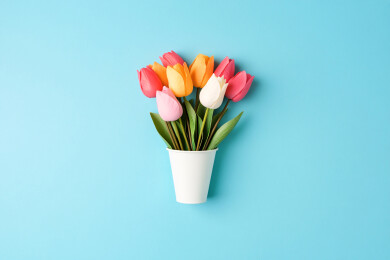 郁金香花束妇女节感恩节母亲节概念插图