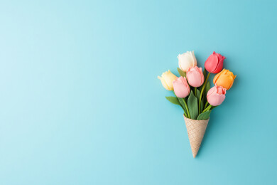 郁金香花束妇女节感恩节母亲节概念插图