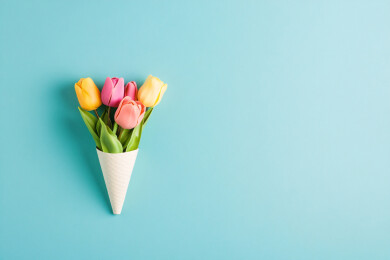 郁金香花束妇女节感恩节母亲节概念插图