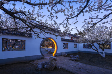 南京玄武湖樱桃园早樱古建筑蓝调夜景